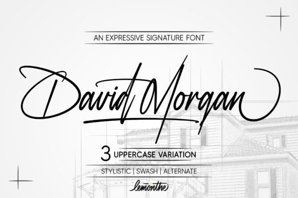David Morgan: A Signature Script Font for Campaign Impact