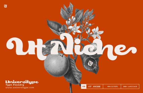 Ut Niche: A Playful Yet Polished Script Font for Small Business Branding